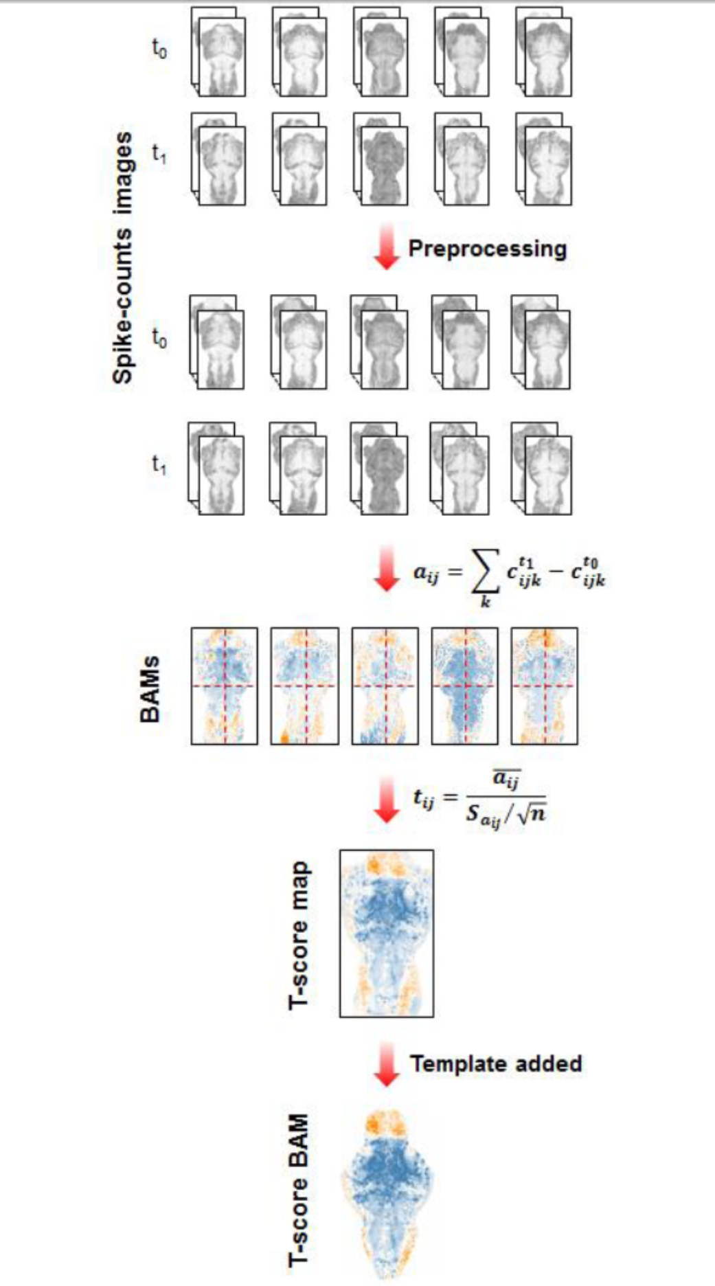 High-throughput Brain Activity Mapping and Machine Learning as a Foundation for Systems Neuropharmacology.